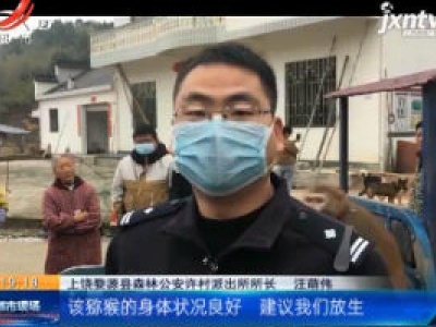 上饶婺源：猴子进村“做客” 大伙盛情款待