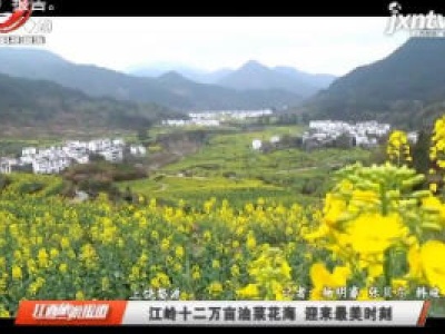 江西旅游报道20200324