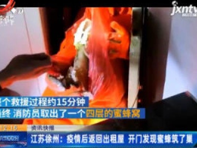 江苏徐州：疫情后返回出租屋 开门发现蜂蜜筑了巢