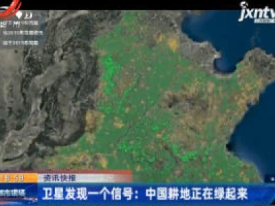 卫星发现一个信号：中国耕地正在绿起来