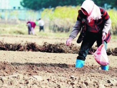 今年春播期江西气象条件正常 总体有利播种