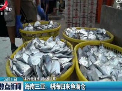【科学战疫情 硬核促发展】海南三亚：耕海归来鱼满仓
