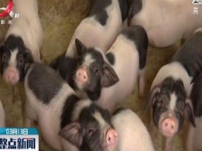 【科学战疫情 硬核促发展】萍乡湘东区：800多户生猪养殖户全面恢复生产