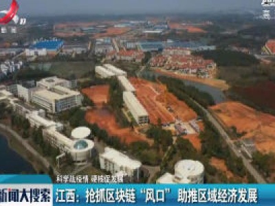 【科学战疫情 硬核促发展】江西：抢抓区块链“风口” 助推区域经济发展