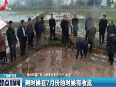 赣州：整治抛荒耕地 抢抓农时促春耕