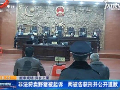 【庭审现场】萍乡上栗：非法狩卖野猪被起诉 两被告获刑并公开道歉