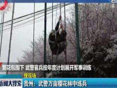 贵州：武警万亩樱花林中练兵