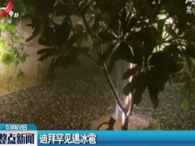 迪拜罕见遇冰雹