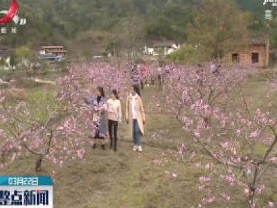 整点新闻20200322 14:00