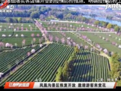 南昌：凤凰沟景区恢复开放 邀请游客来赏花