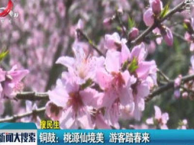 【搜民生】铜鼓：桃源仙境美 游客踏春来