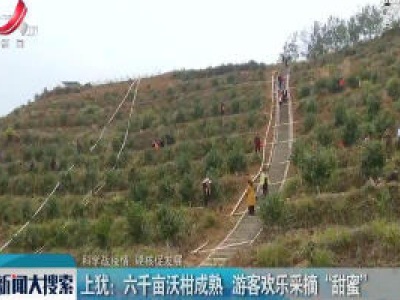 【科学战疫情 硬核促发展】上犹：六千亩沃柑成熟 游客欢乐采摘“甜蜜”