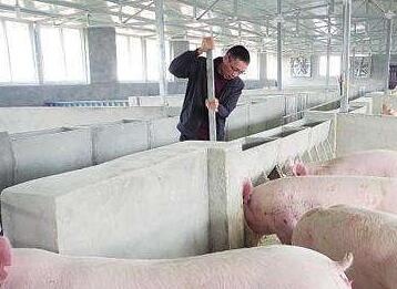 环评审批提速 江西7家企业年复产增养39.4万头生猪