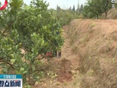 瑞金：农技人员线上“诊断” 帮助果农解决难题