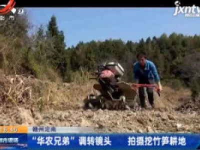 赣州定南：”华农兄弟“调转镜头 拍摄挖竹笋耕地