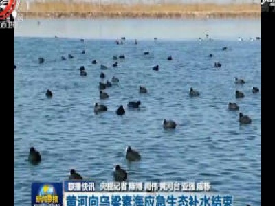 中央电视台《新闻联播》20200323