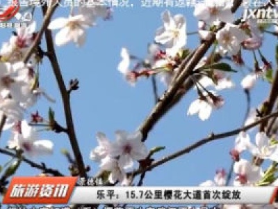 乐平：15.7公里樱花大道首次绽放