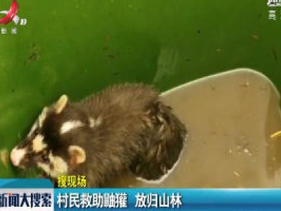 【搜现场】万安：村民救助鼬獾 放归山林