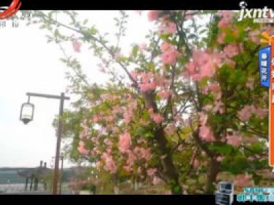 春暖花开——你好南昌