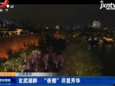 江苏南京：玄武湖畔 “夜樱”尽显芳华