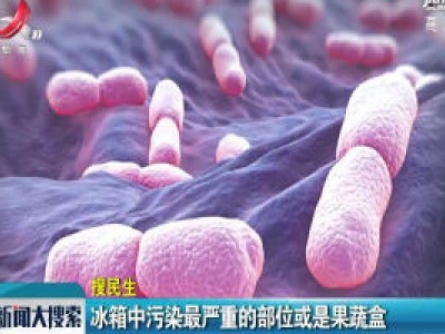 【搜民生】冰箱中污染最严重的部位或是果蔬盒