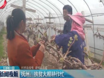 【科学战疫情 硬核促发展】抚州：扶贫大棚耕作忙