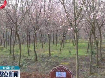 整点新闻20200315 16:00