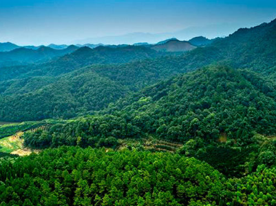 江西返还森林植被恢复费7.95亿元