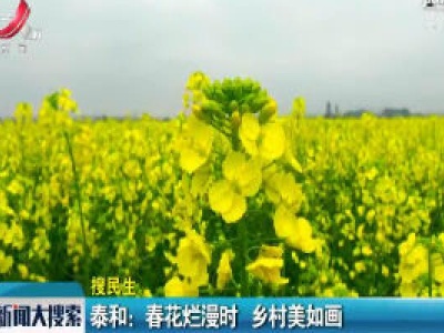 泰和：春花烂漫时 乡村美如画