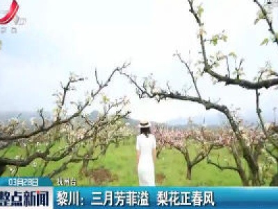 整点新闻20200328 16:00