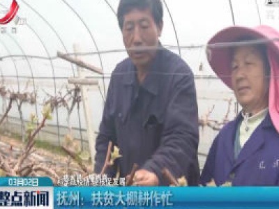 【科学战疫情 硬核促发展】抚州：扶贫大棚耕作忙