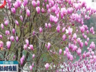 南昌艾溪湖瑶湖公园恢复开放