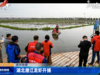 湖北潜江龙虾开捕