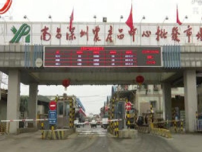 按下便民“快捷键” 跑出服务“加速度”