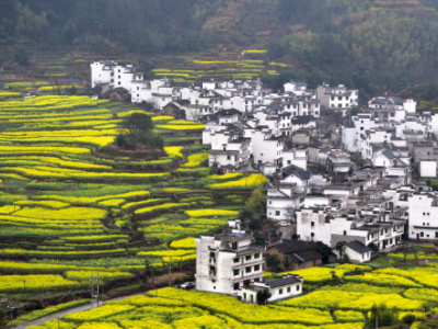 江西试行周末2.5天弹性作息 提振旅游消费