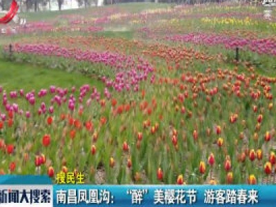 南昌凤凰沟：“醉”美樱花节 游客踏春来