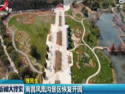 新闻大搜索20200313