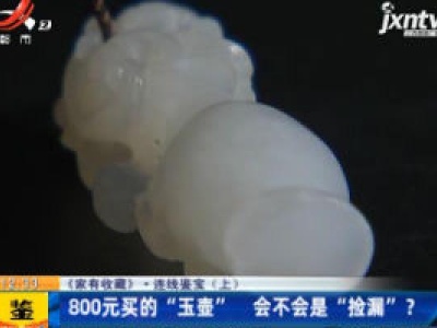 【《家有收藏》·连线鉴宝（上）】800元买的“玉壶” 会不会是“捡漏”？