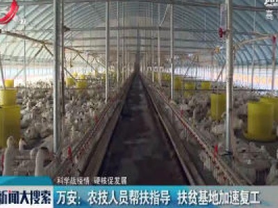 【科学战疫情 硬核促发展】万安：农技人员帮扶指导 扶贫基地加速复工
