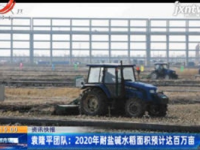 袁隆平团队：2020年耐盐水稻面积预计达百万亩