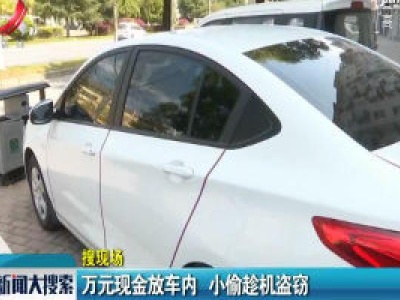 【搜现场】上饶：万元现金放车内 小偷趁机盗窃