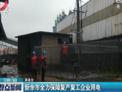 新余市全力保障复产复工企业用电