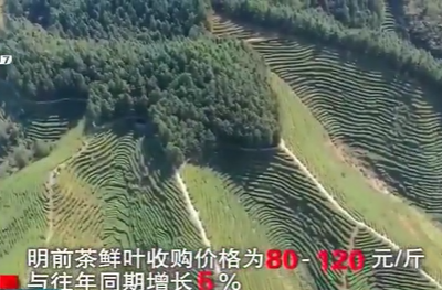整点新闻20200331 12:00