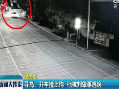 【搜民生】寻乌：开车撞上狗 他被判肇事逃逸
