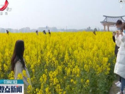 江西九江：油菜经济“钱”景广