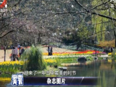 杭州：西湖景色美不胜收 游客纷至沓来