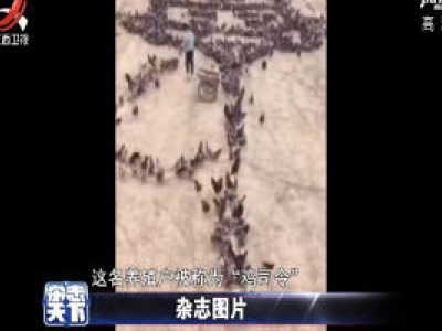 男子带领鸡群摆出特殊造型 致敬白衣天使