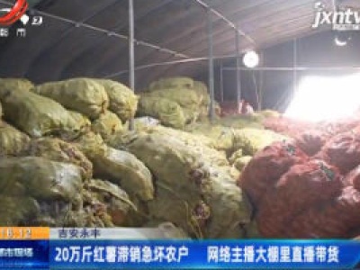 吉安永丰：20万斤红薯滞销急坏农户 网络主播大棚里直播带货