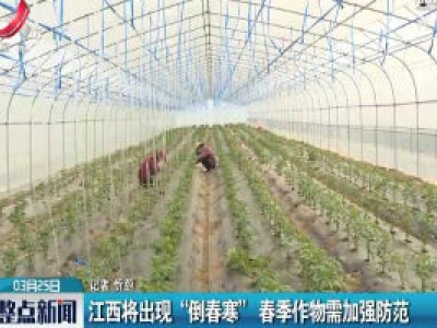 江西将出现“倒春寒” 春季作物需加强防范
