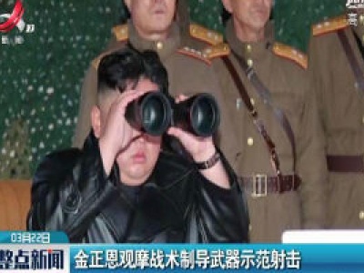 金正恩观摩战术制导武器示范射击